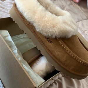 Brand NEW NEVER WORN UGGS